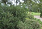 St Helens VICresidential-landscaping-35.jpg; ?>